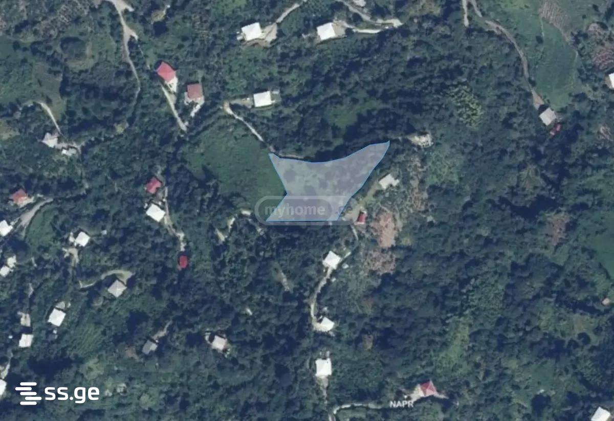 Land For Sale. Kobuleti view 1