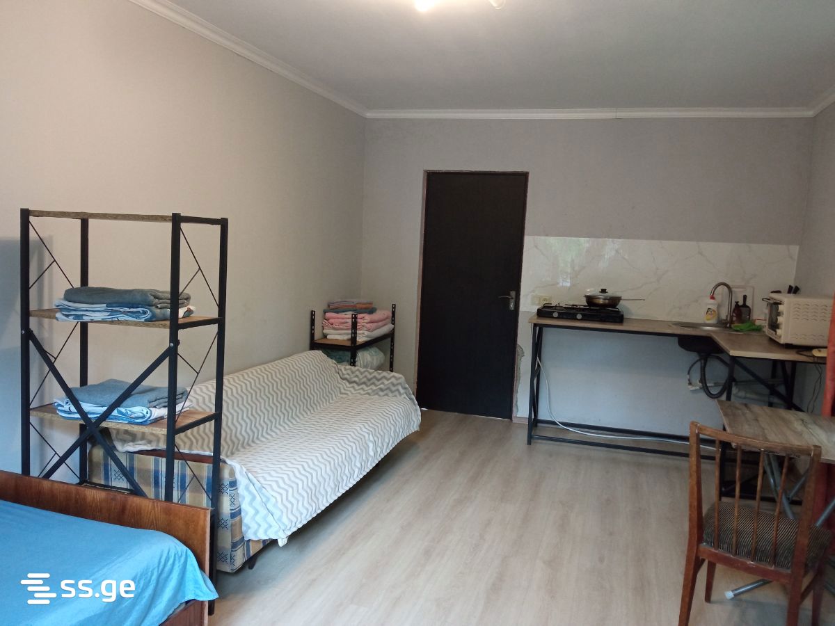 1 Room Private House Daily Rent. Zugdidi view 6