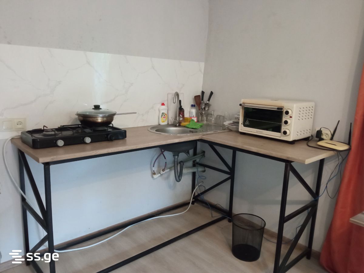 1 Room Private House Daily Rent. Zugdidi view 4