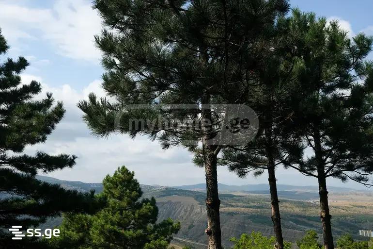 8 Room Private House For Sale view 12