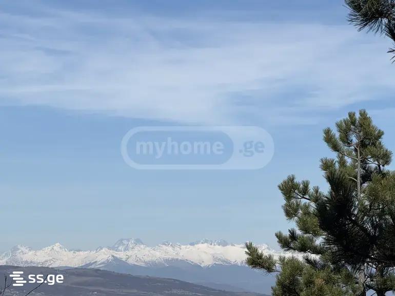 8 Room Private House For Sale view 11