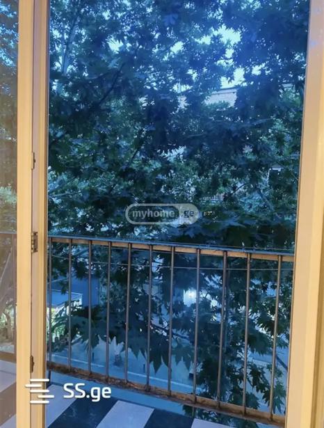 https://static.ss.ge/20260730/12_8f05219e-42fd-45fc-ac05-7260a987aafd_Thumb.jpg