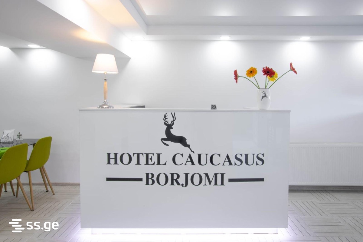 Hotel For Sale. Borjomi view 2