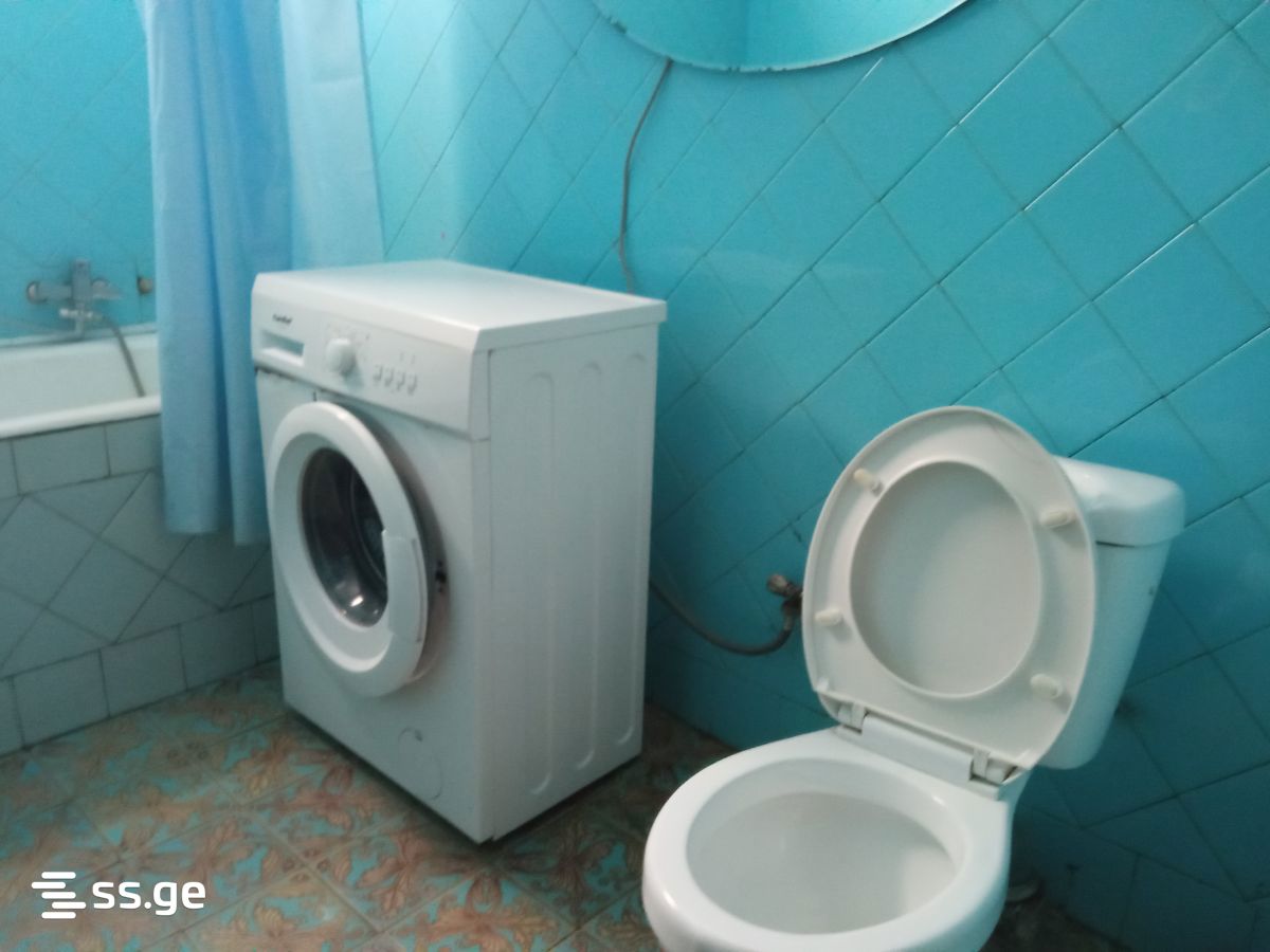 2 Room Private House Daily Rent. Zugdidi view 8