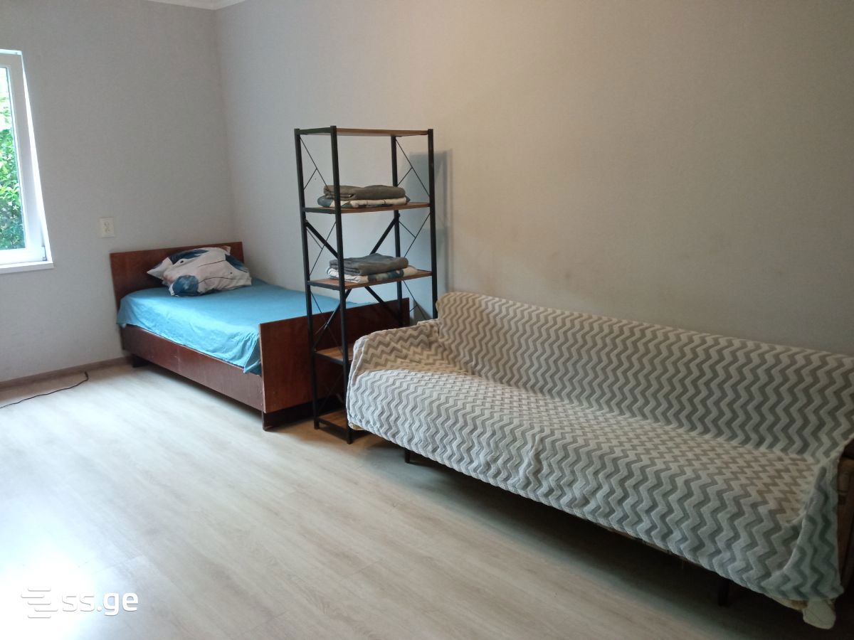 1 Room Private House Daily Rent. Zugdidi view 2
