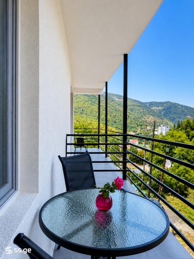 Hotel For Sale. Borjomi view 14