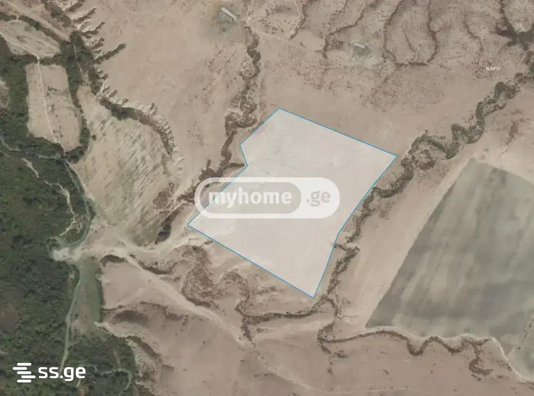 Land For Sale. Gurjaani view 4