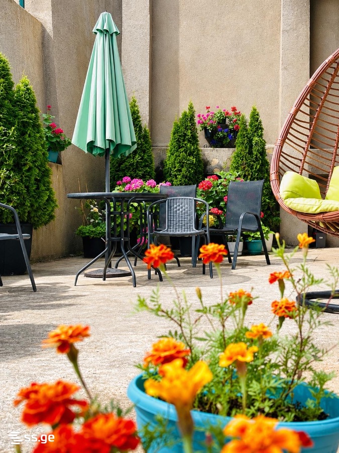 Hotel For Sale. Borjomi view 15