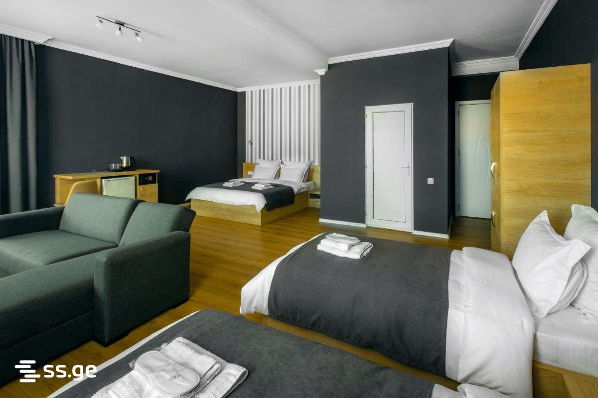 Hotel For Sale. Borjomi view 5