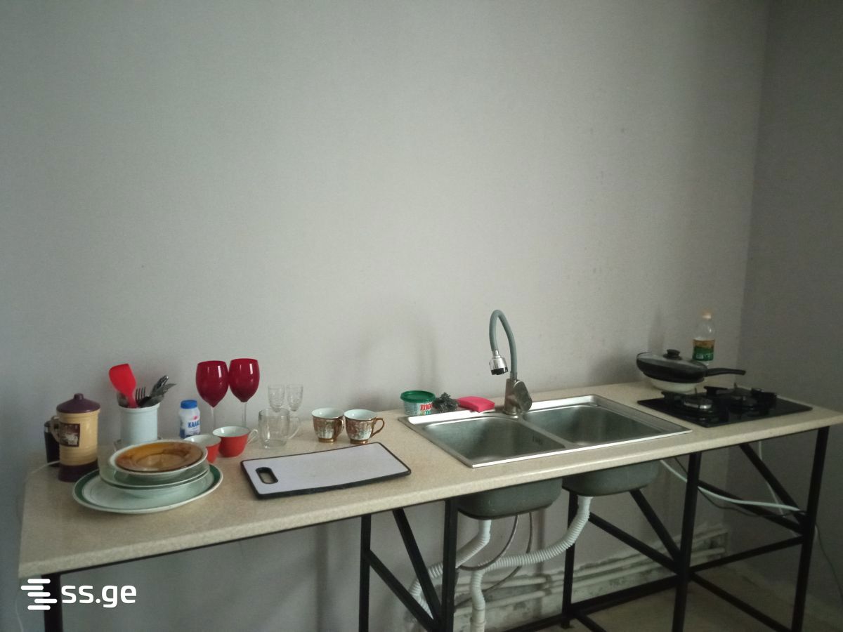 2 Room Private House Daily Rent. Zugdidi view 6
