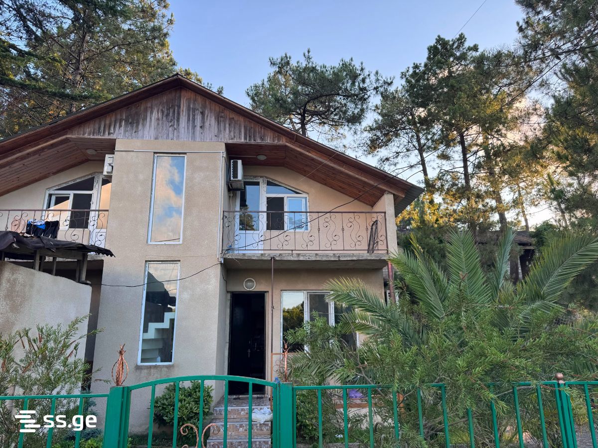 5 Room Private House Daily Rent. Grigoleti view 1