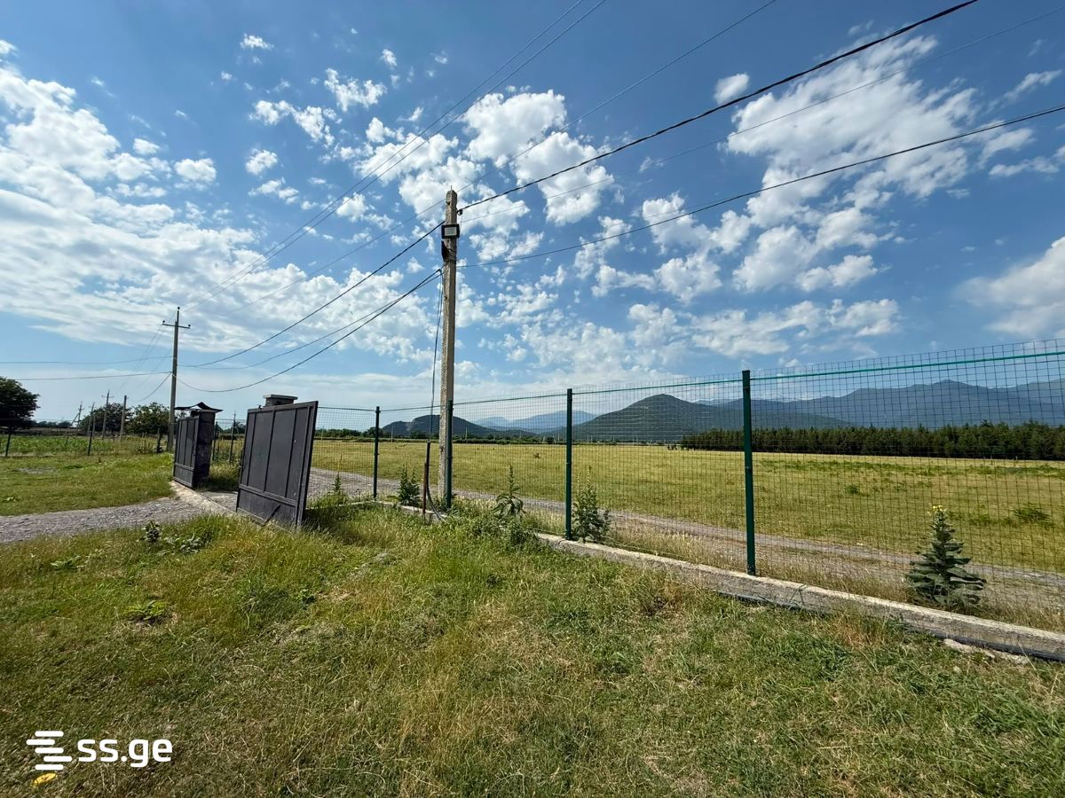 Store-Industrial Property For Sale. Kvareli view 3
