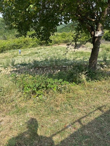https://static.ss.ge/20260731/14_a57c96df-1752-42c5-bd88-b9d5f638da07_Thumb.jpg