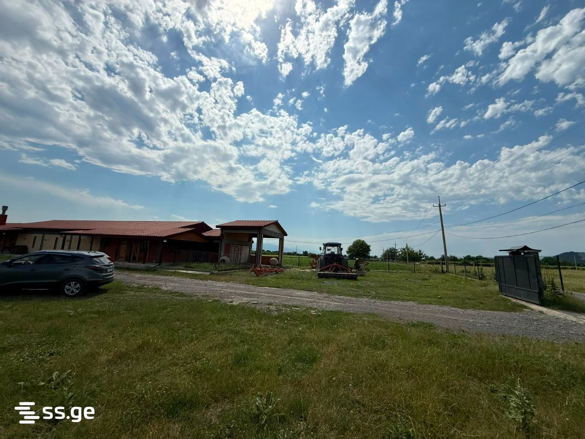 Store-Industrial Property For Sale. Kvareli view 8