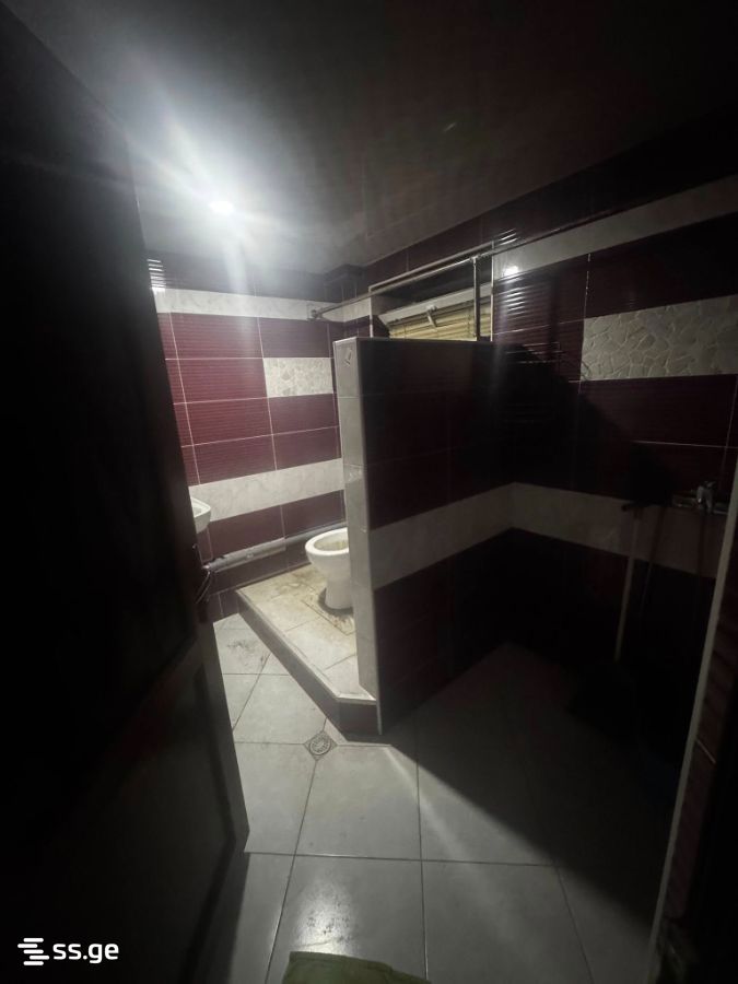 Commercial Space For Rent. Rustavi view 8