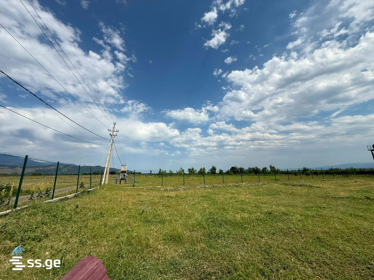 Store-Industrial Property For Sale. Kvareli view 2