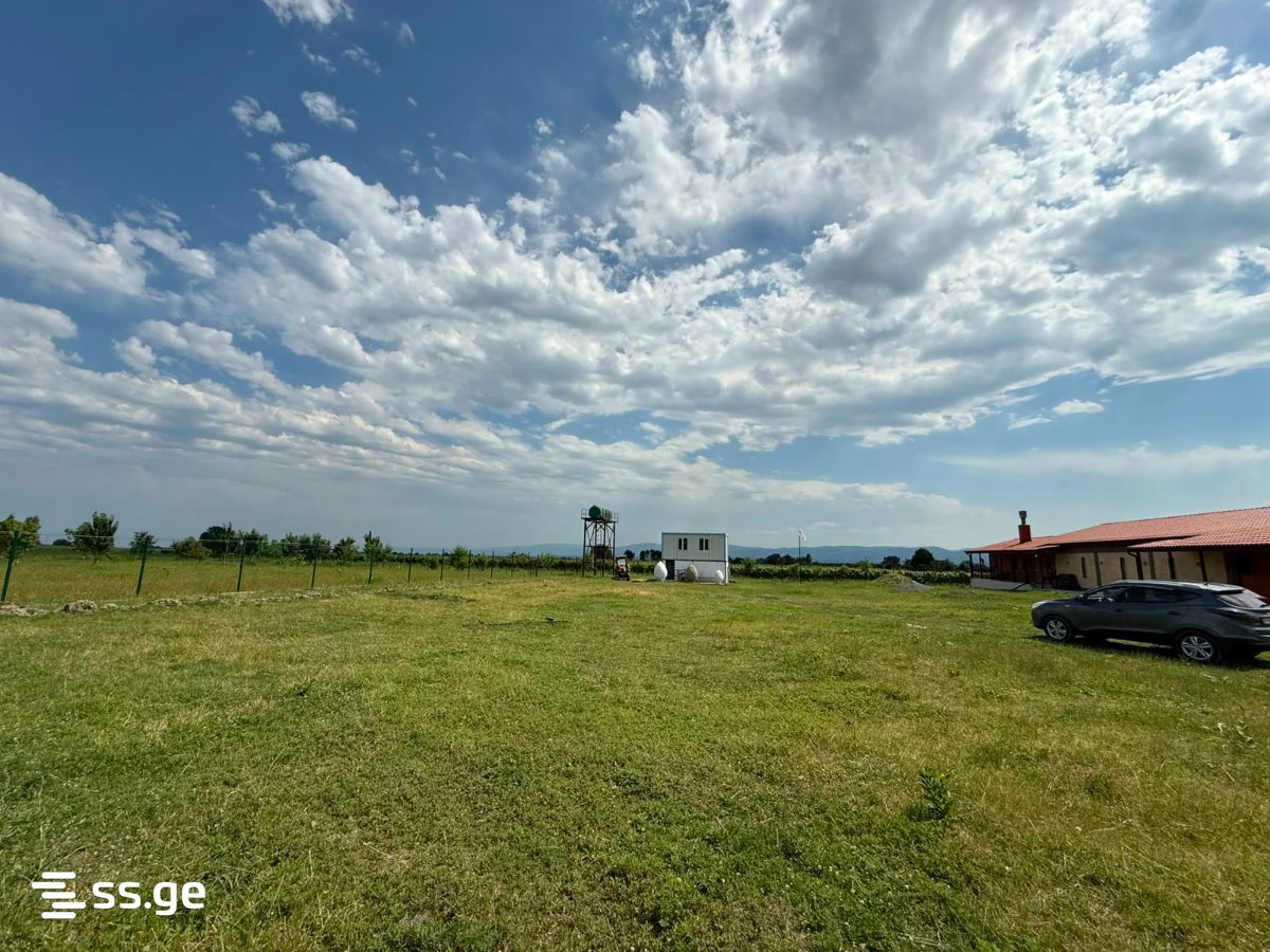 Store-Industrial Property For Sale. Kvareli view 6
