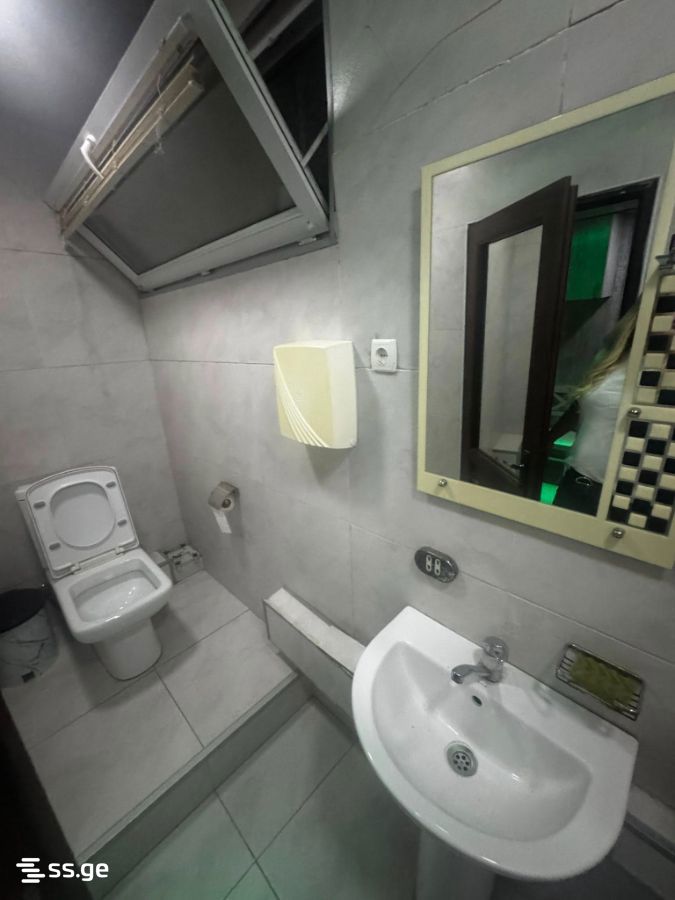 Commercial Space For Rent. Rustavi view 3