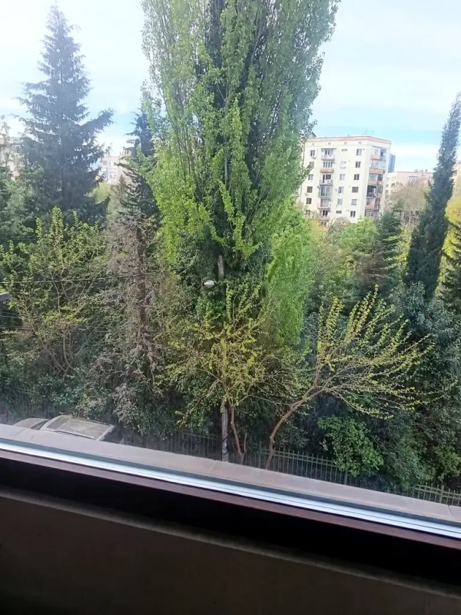 https://static.ss.ge/20260731/5_fd23279d-40ee-4c49-951c-e67a6d3c200f_Thumb.jpg