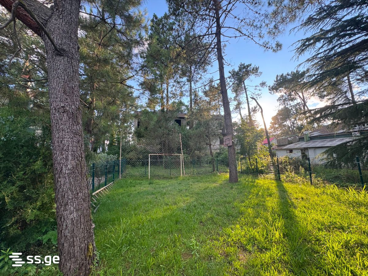 5 Room Private House Daily Rent. Grigoleti view 7