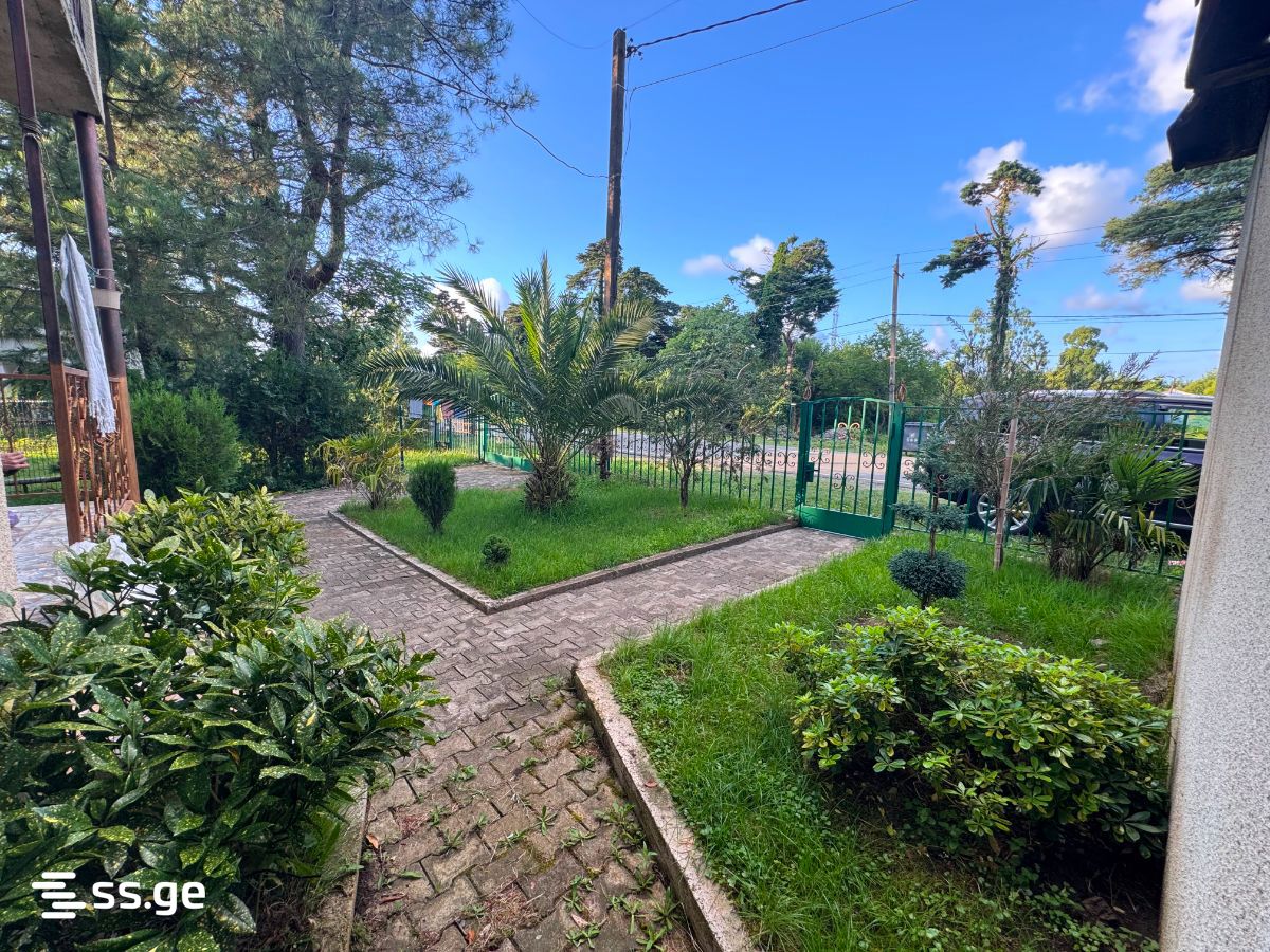 5 Room Private House Daily Rent. Grigoleti view 2