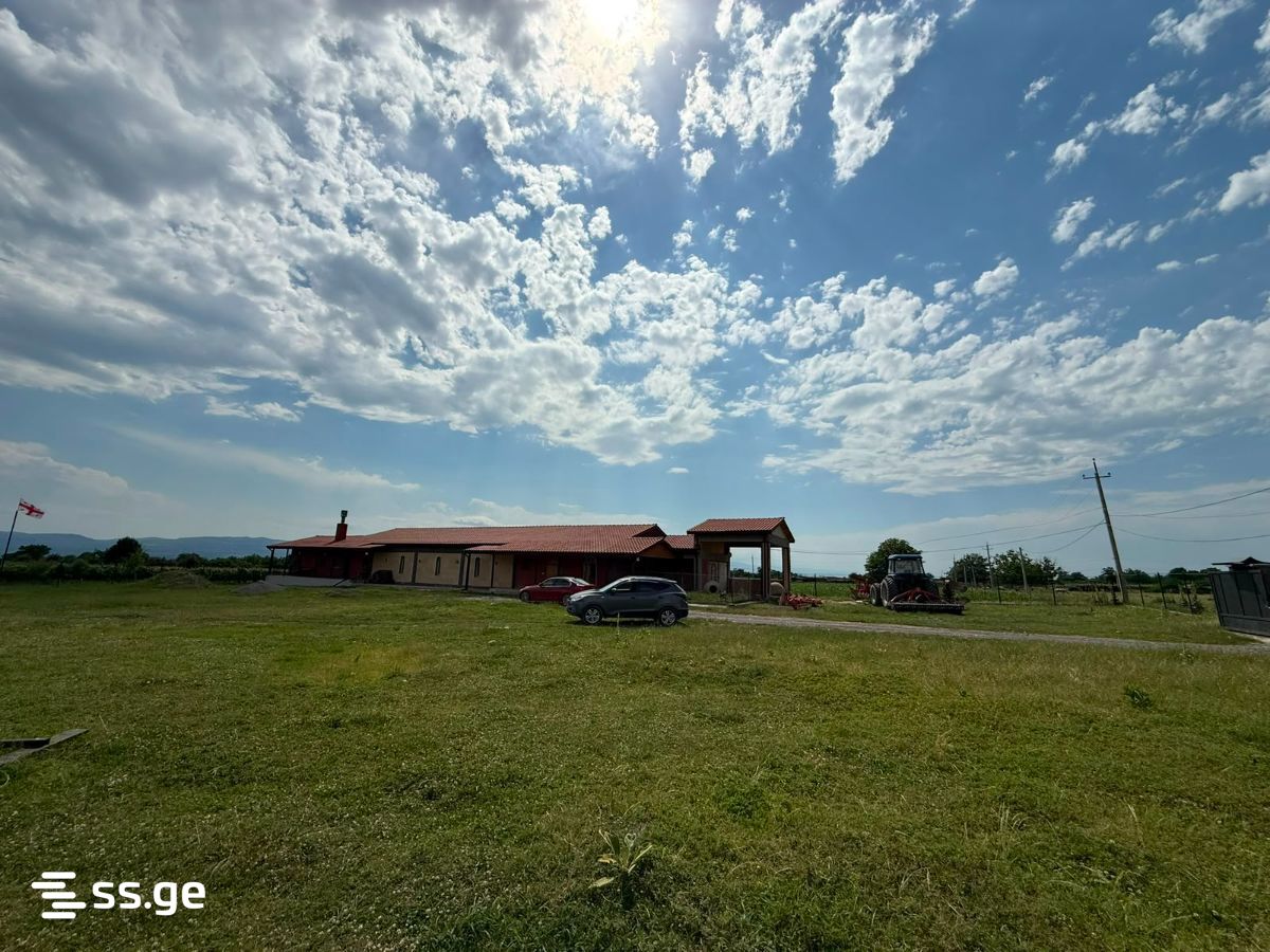 Store-Industrial Property For Sale. Kvareli view 4