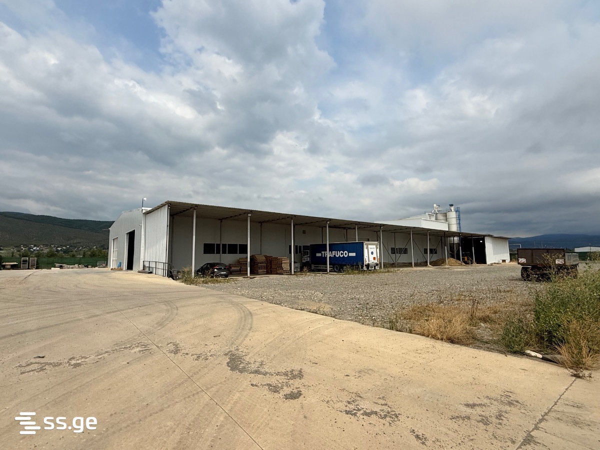 Store-Industrial Property For Sale. Natakhtari view 6