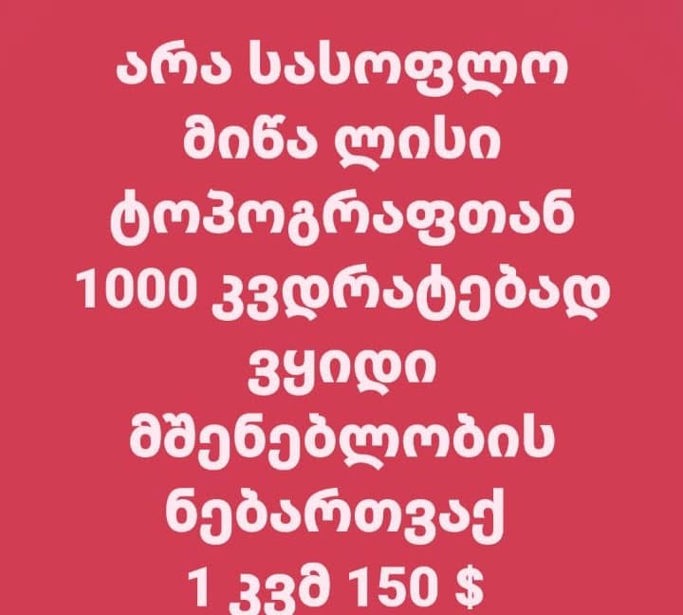 https://static.ss.ge/20260801/11_bb156c1d-1903-4675-ae91-90ac03db8f72_Thumb.jpg