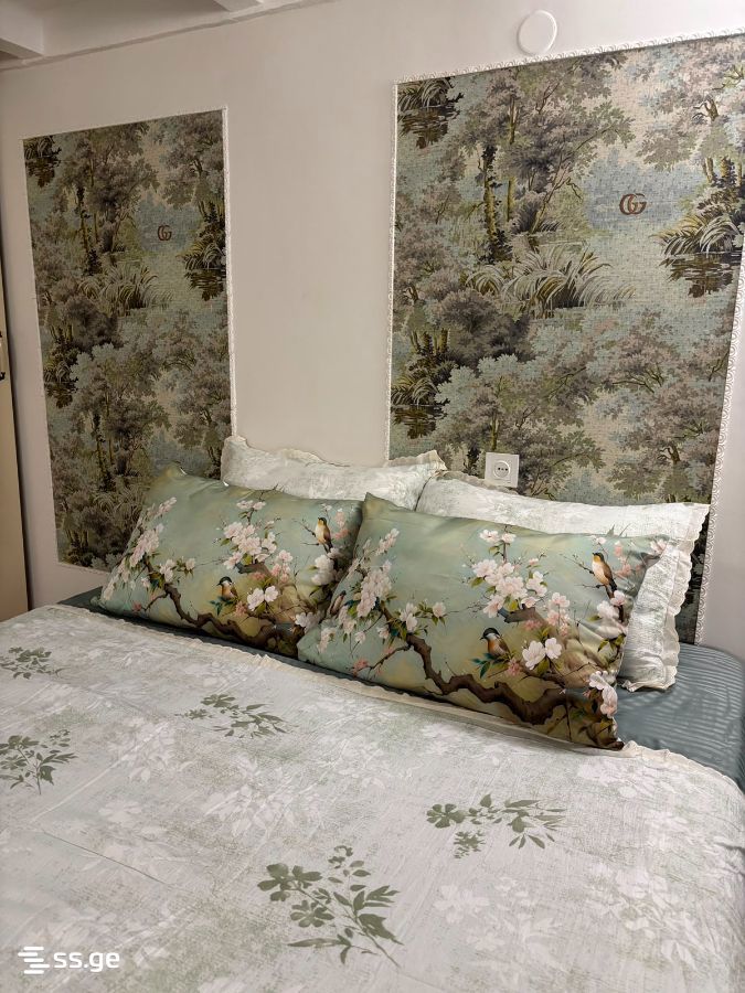 1 Room Flat Daily Rent. Khashuri view 3
