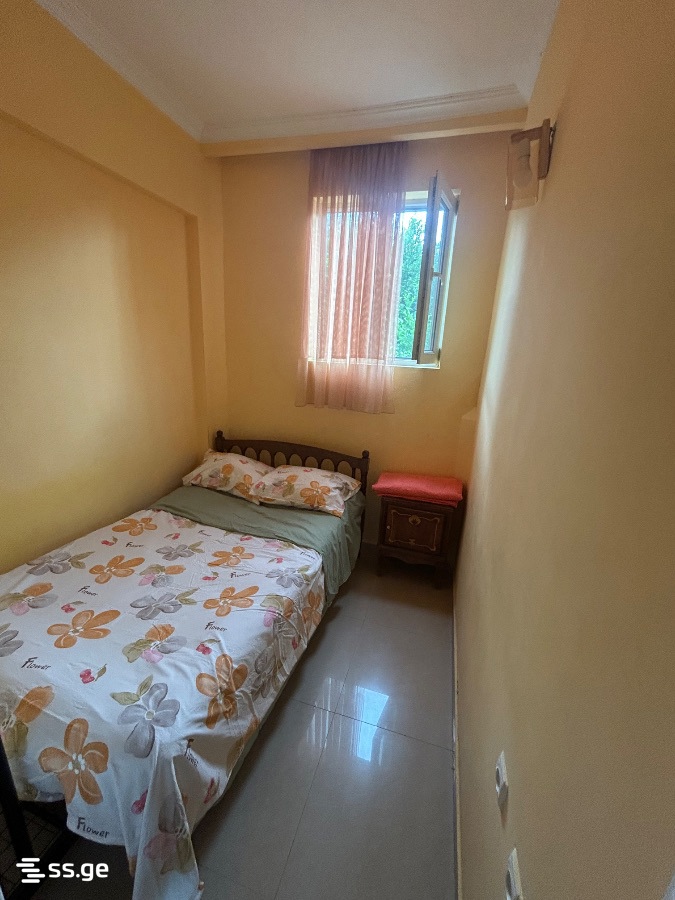 5 Room Summer Cottage Daily Rent. Grigoleti view 10
