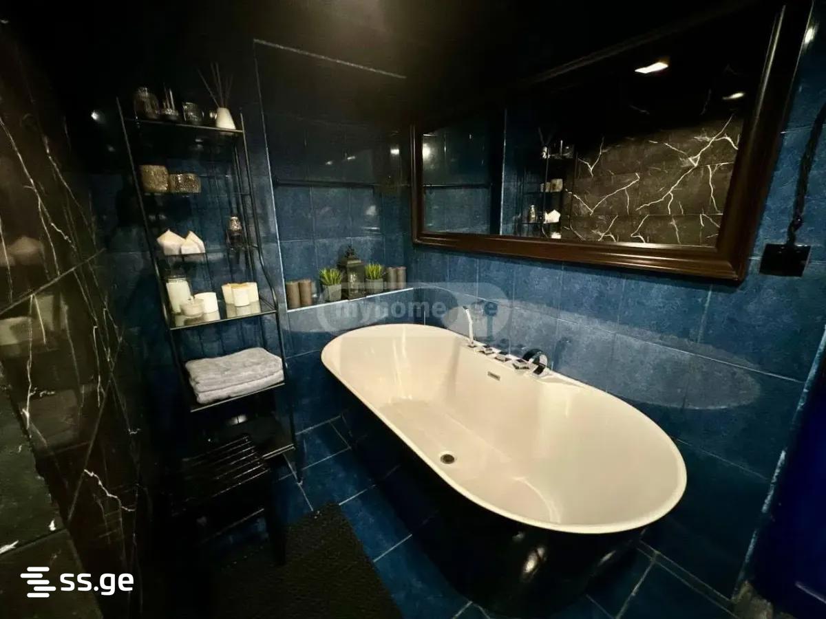 Private House For Rent. Krtsanisi view 9
