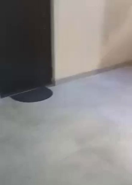 https://static.ss.ge/20260802/14_fecfad4a-cda7-451e-8a7a-9b7b3a127961_Thumb.jpg