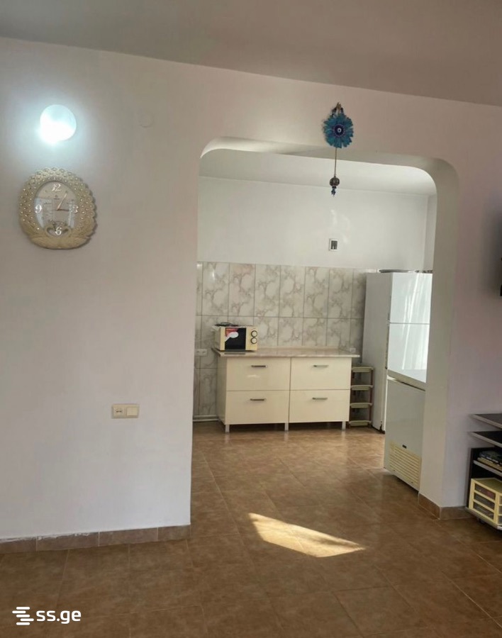 4 Room Private House Daily Rent. Shekvetili view 1
