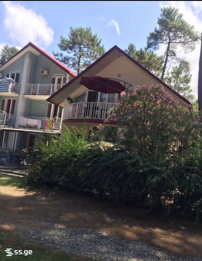 4 Room Private House Daily Rent. Shekvetili view 6