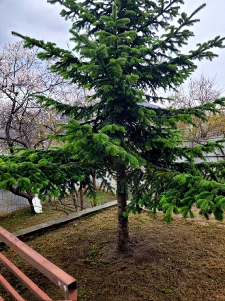https://static.ss.ge/20260802/1_61eda080-3c13-42de-82f5-ada3e72df7e8_Thumb.jpg