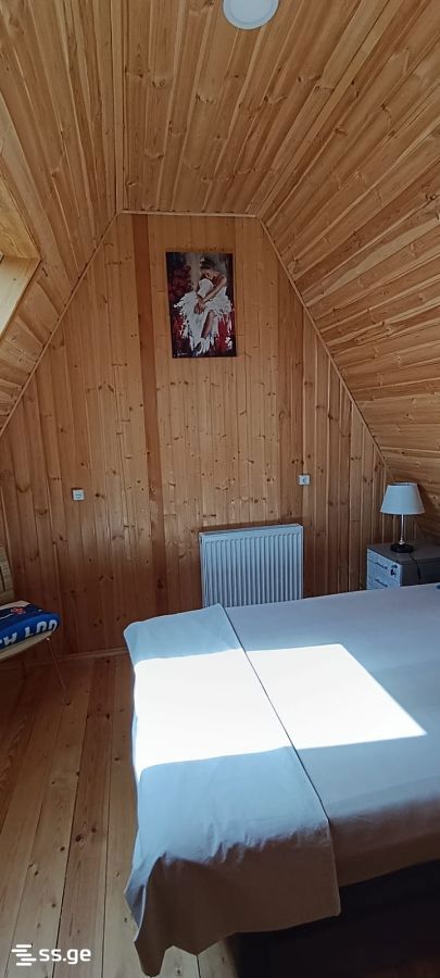 3 Room Summer Cottage Daily Rent. Ivertubani view 12