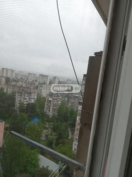 https://static.ss.ge/20260802/6_6d4e8dcd-b193-417b-95b8-f47f56f22c33_Thumb.jpg