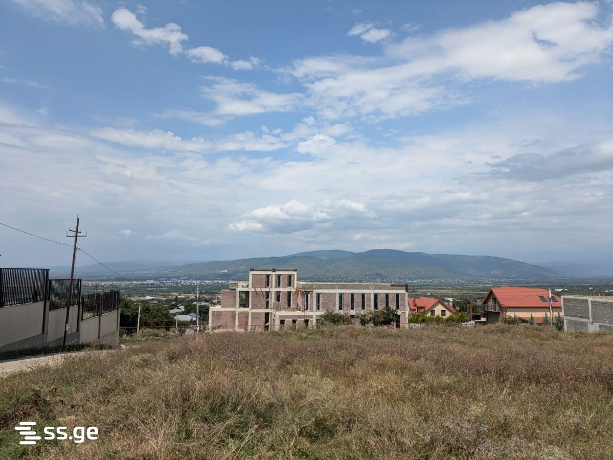 Land For Sale. Saguramo view 8