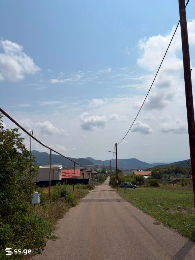 იყიდება მიწა კიკეთიში view 4