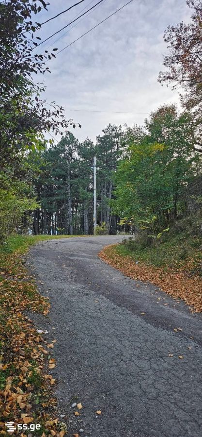 Land For Sale. Kojori view 2