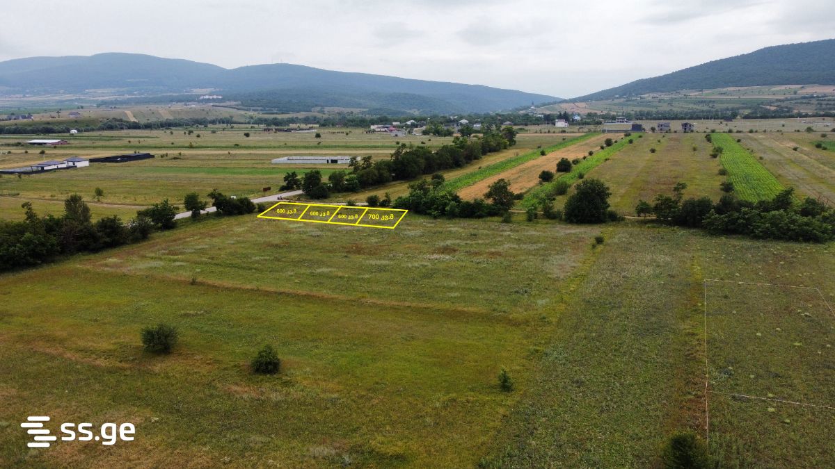 Land For Sale. Bazaleti view 5