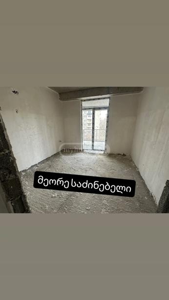 https://static.ss.ge/20260803/13_68792aaf-5e3b-4da2-983f-cab8af577d14_Thumb.jpg