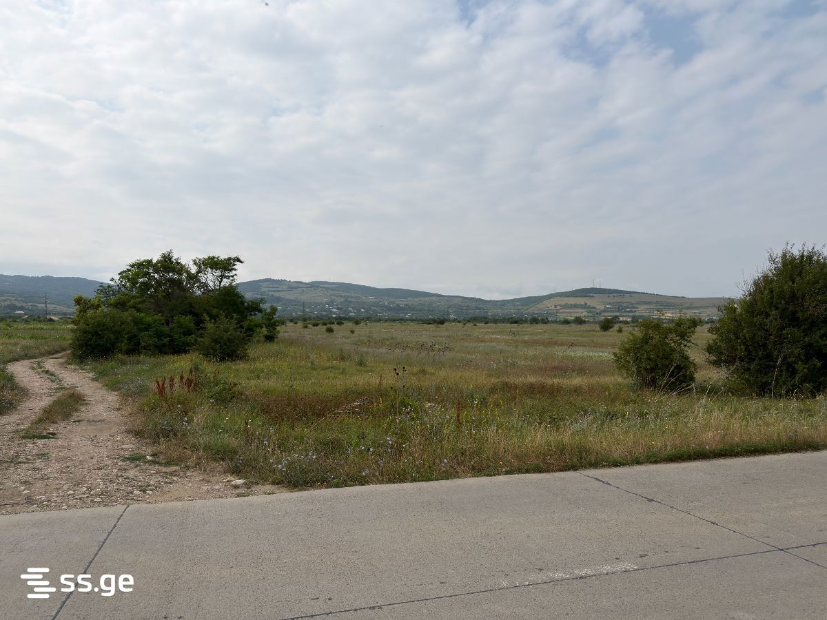 Land For Sale. Bazaleti view 8