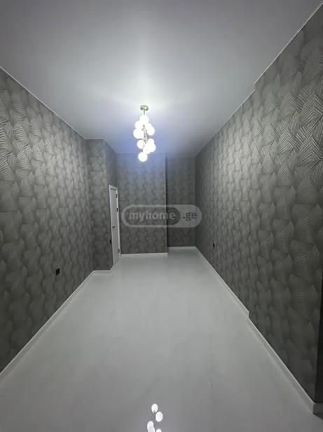 https://static.ss.ge/20260803/17_8c285e17-5298-4987-a206-7ff997043f62_Thumb.jpg