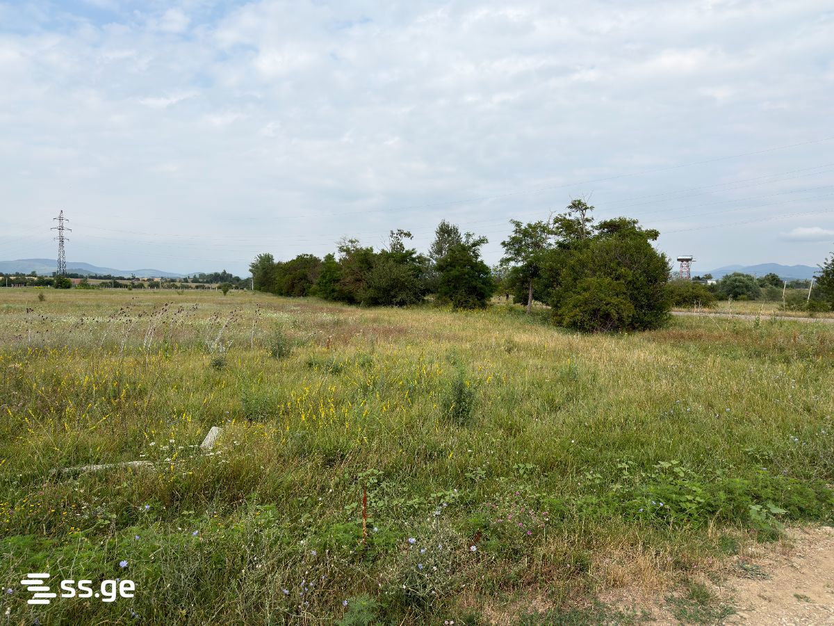 Land For Sale. Bazaleti view 6