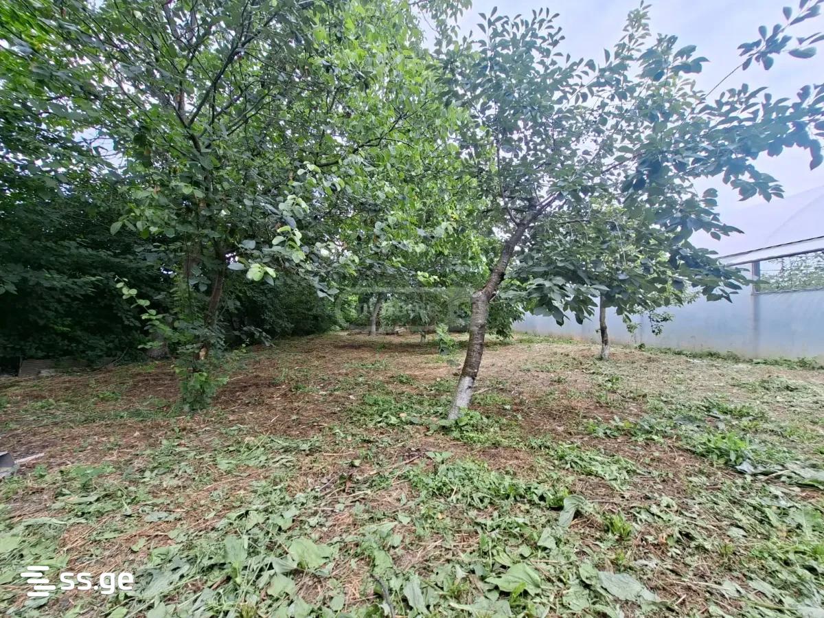 5 Room Private House For Sale view 15