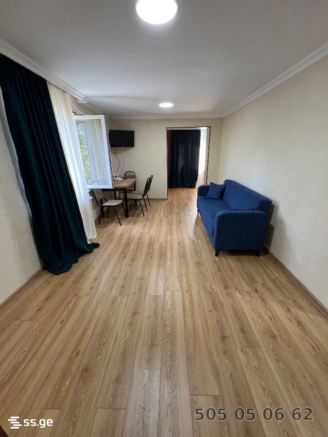3 Room Flat Daily Rent. Telavi view 2
