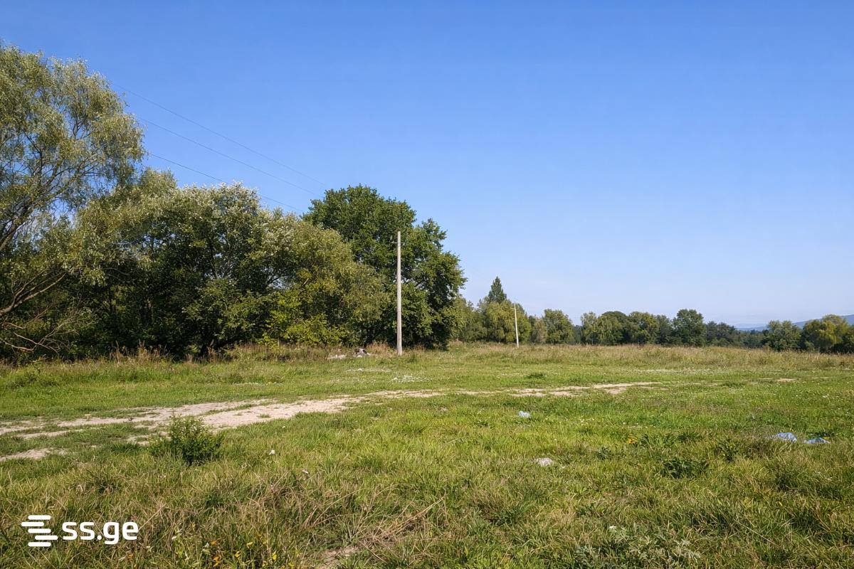 იყიდება Agricultural Plot In Tsilkani, In Mtskheta Municipalityში view 14