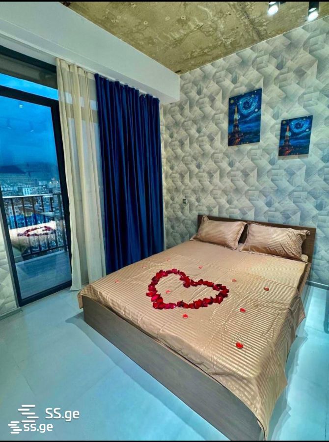 1 Room Flat Daily Rent. Rustavi view 3