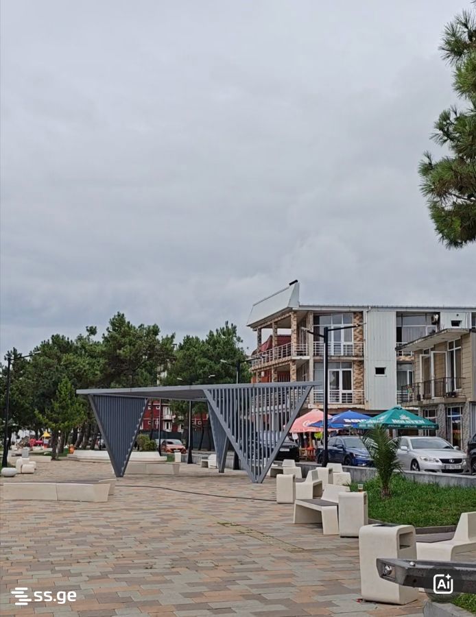 2 Room Flat Daily Rent. Kobuleti view 15